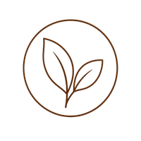 Clean Ingredients